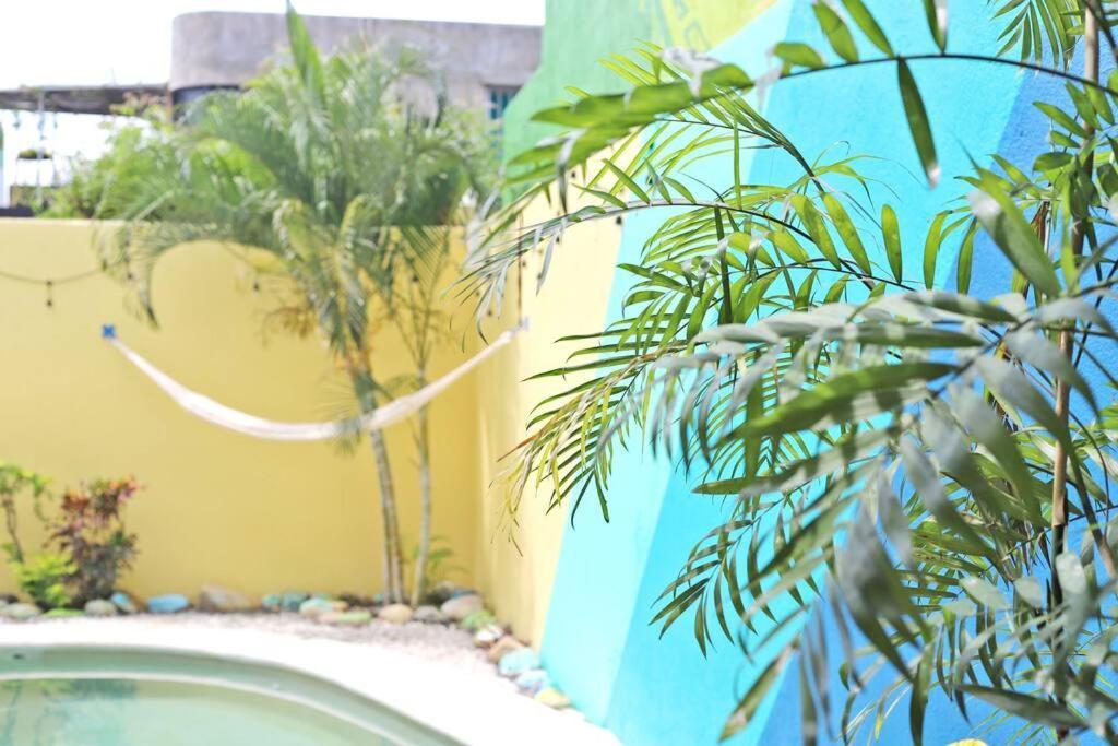 Studio -Sand At Mikasa- Fast Internet, King Bed, Pool, Near Beach, Ac Puerto Escondido  Exterior foto